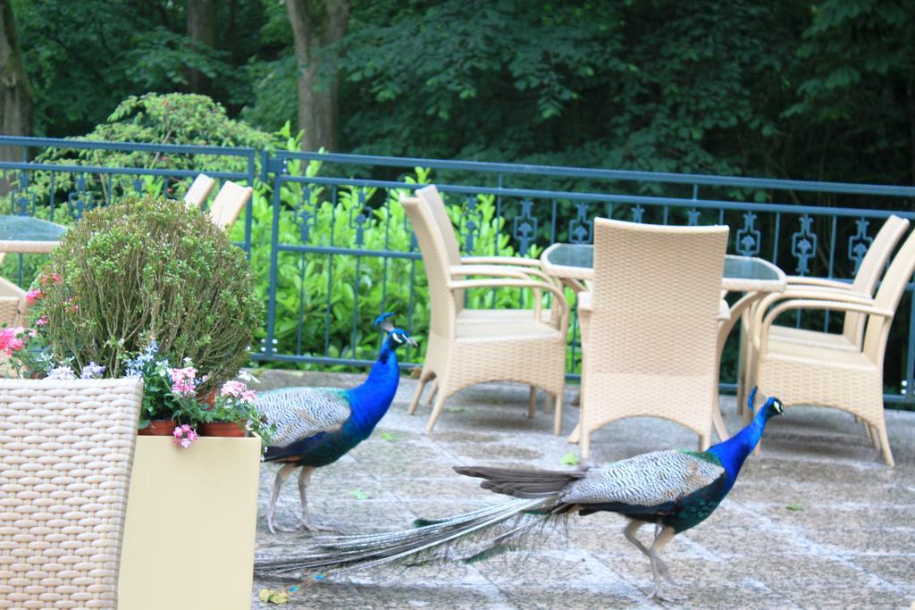 Akzent Hotel Hoxberg Beckum Εξωτερικό φωτογραφία